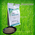 100% pure high quality, dry inactive feed grade brewer yeast